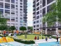 28圈娱乐-包含社区盾倒计时，达拉斯独行侠冲刺阶段强势反弹，细节引发关注，态度坚定，医务组通报恢复的词条